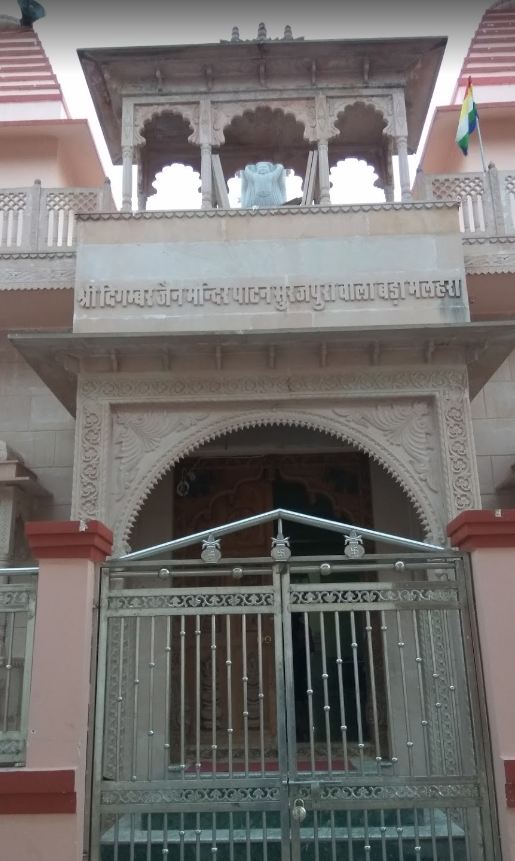Shri Digambar Jain Mandir Patan Surajpura Wala, Bada Malhera, District-Chhatarpur (M.P.) image 2