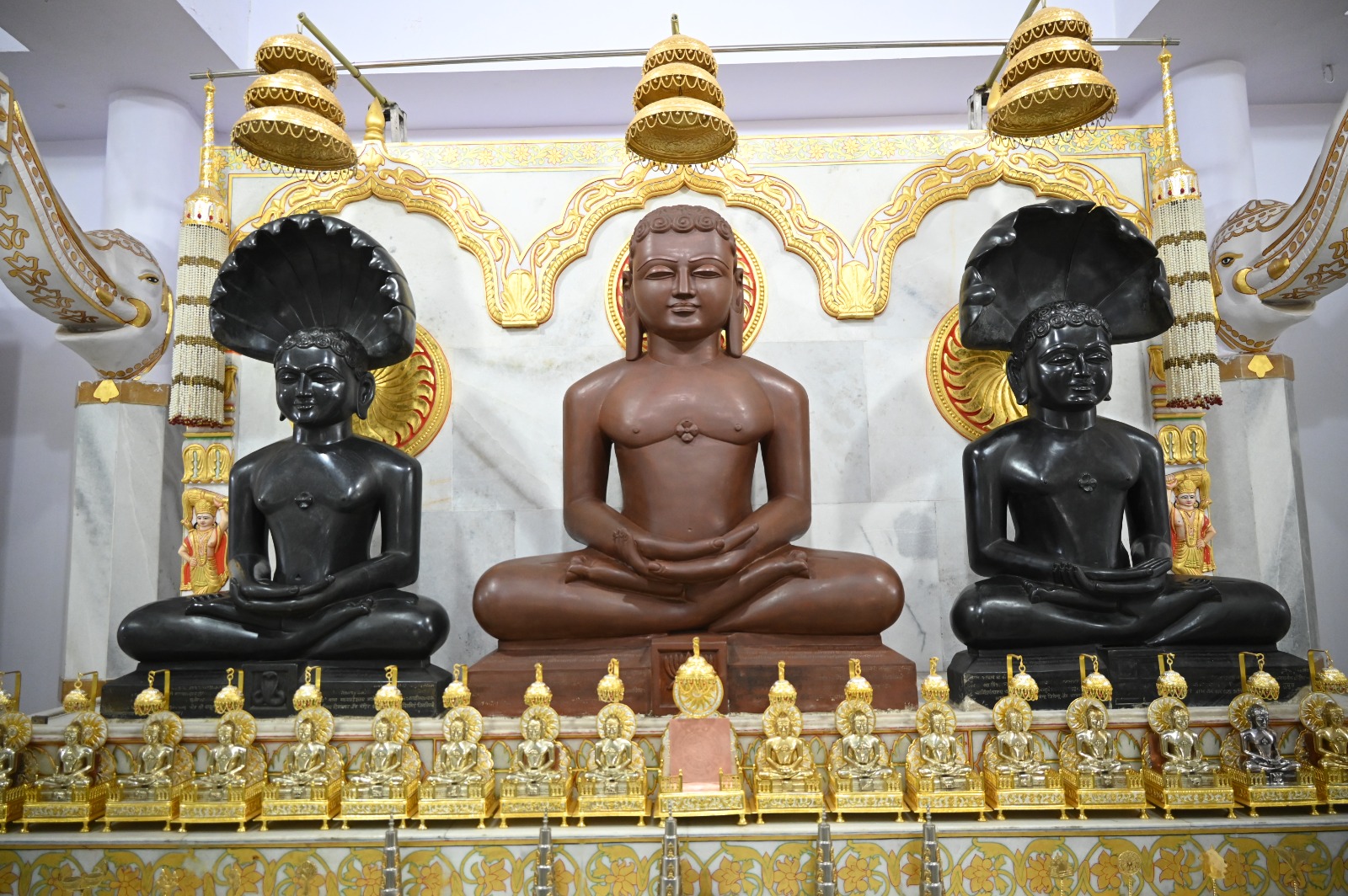 Shri 1008 Parshvnath Digamber Jain Mandir, Railway Colony, Shahdol (Madhya Pradesh) thumbnail 2