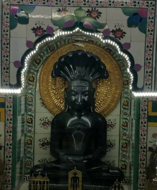 Shri Parshvnath Digamber Jain Mandir, Karrapur, District-Sagar (M.P.) image 3
