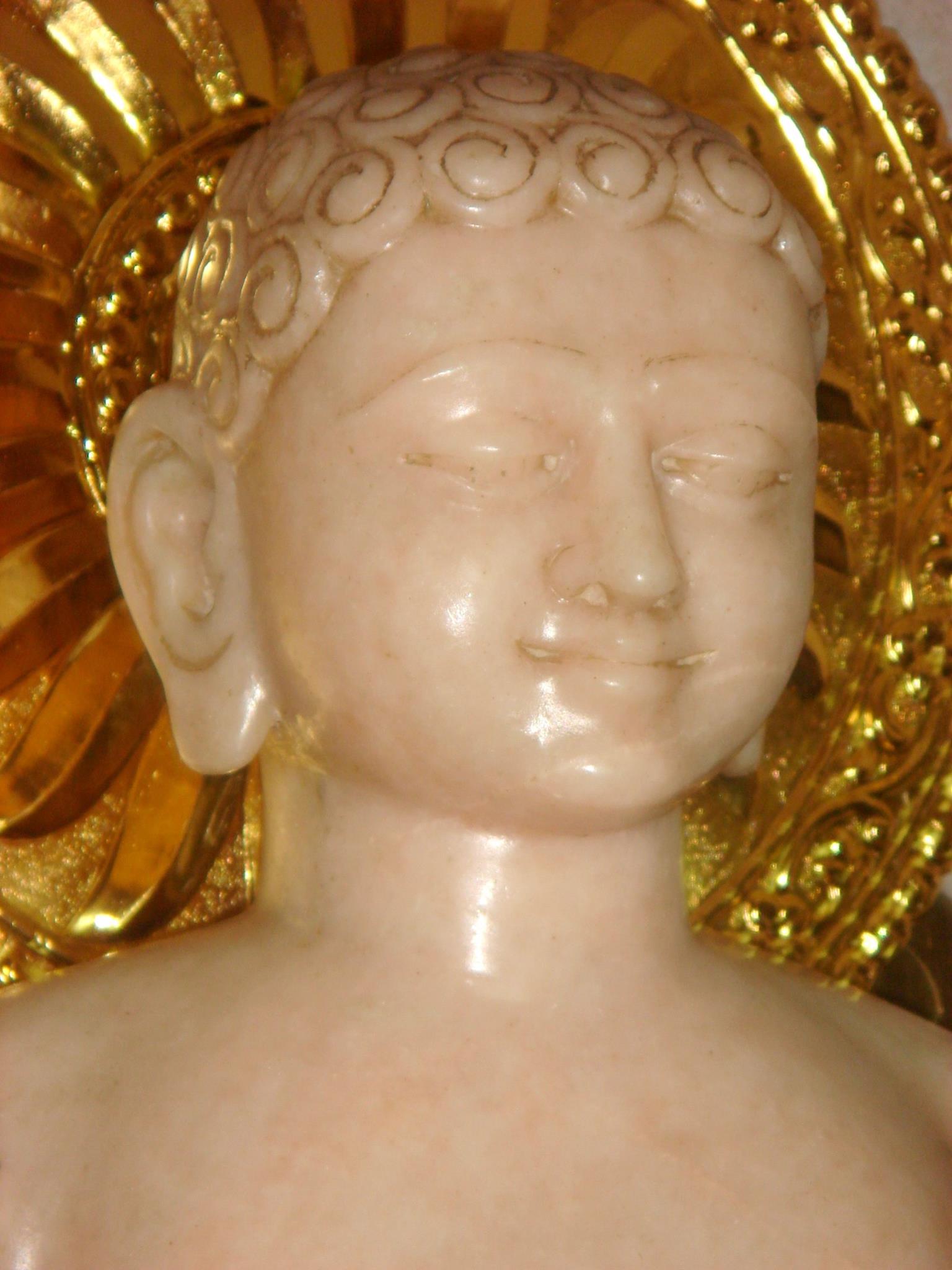 Shri Parshvnath Digamber Jain Mandir, Dabra, District-Gwalior (Madhya Pradesh) image 7