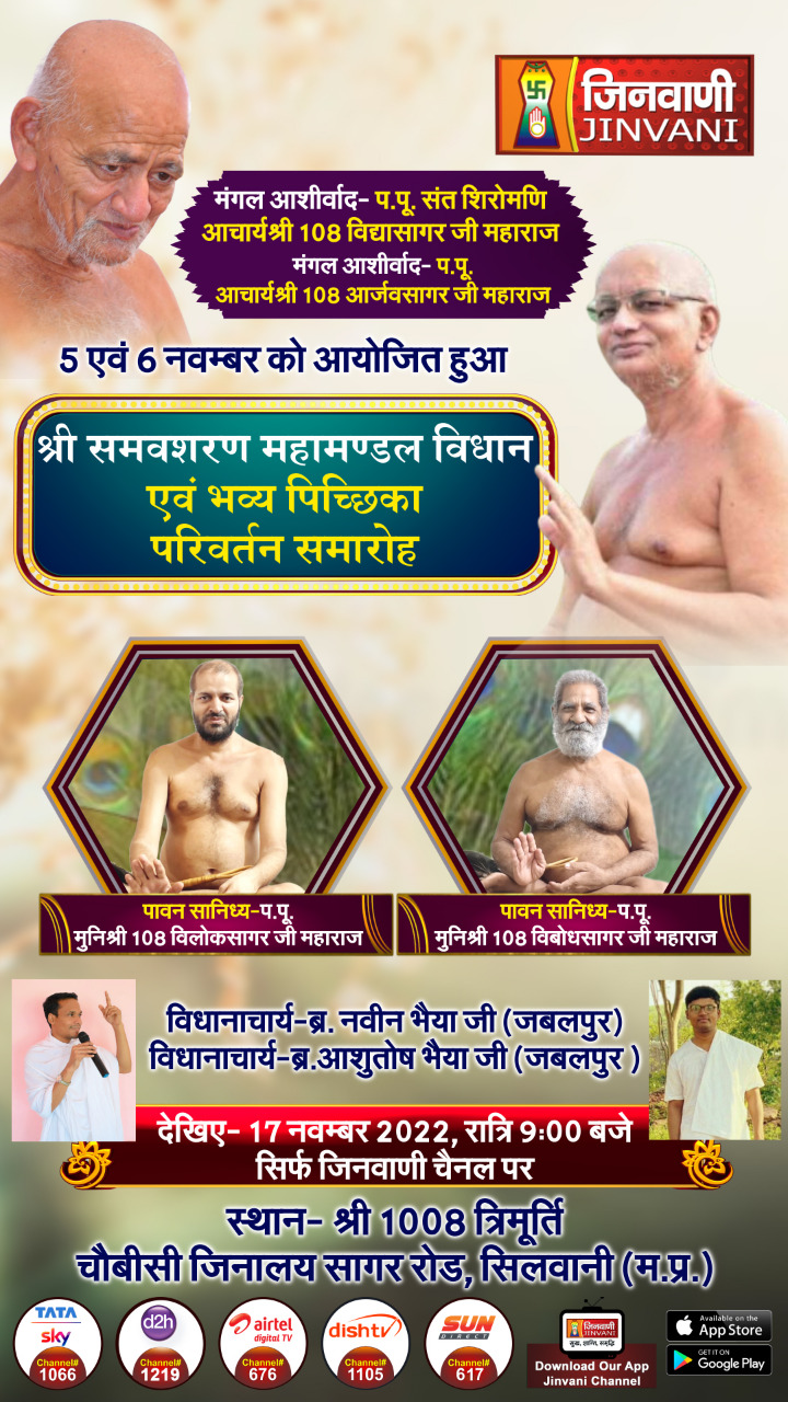 Shri Trimurti Digamber Jain Mandir, Silwani, District - Raisen (Madhya Pradesh) image 4