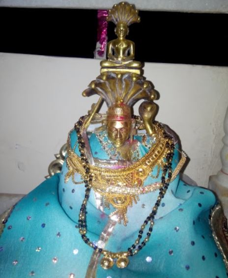 1008 Shri Parshvnath Digamber Jain Mandir, Gol Bazar, Mungeli (Chhattisgarh) image 6