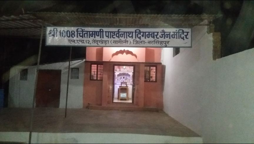 Shri 1008 Chintamani Parshvnath Digamber Jain Mandir, NH-12, Tendukheda, District-Narsimhapur (Madhya Pradesh) image 2