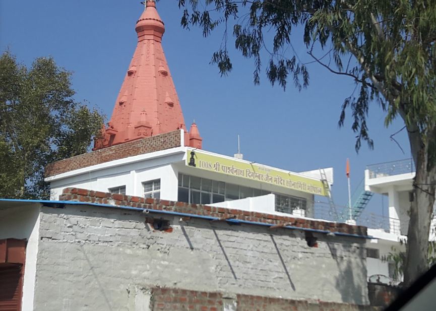 1008 Shri Parshvnath Digamber Jain Mandir, Sonagiri, Bhopal (Madhya Pradesh) image 1