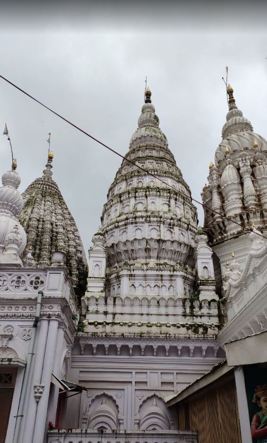 Shri Digamber Jain Panchayati Bada Mandir, Qazi Mohalla, Shukrwari Bazar, Seoni (M.P.) image 6