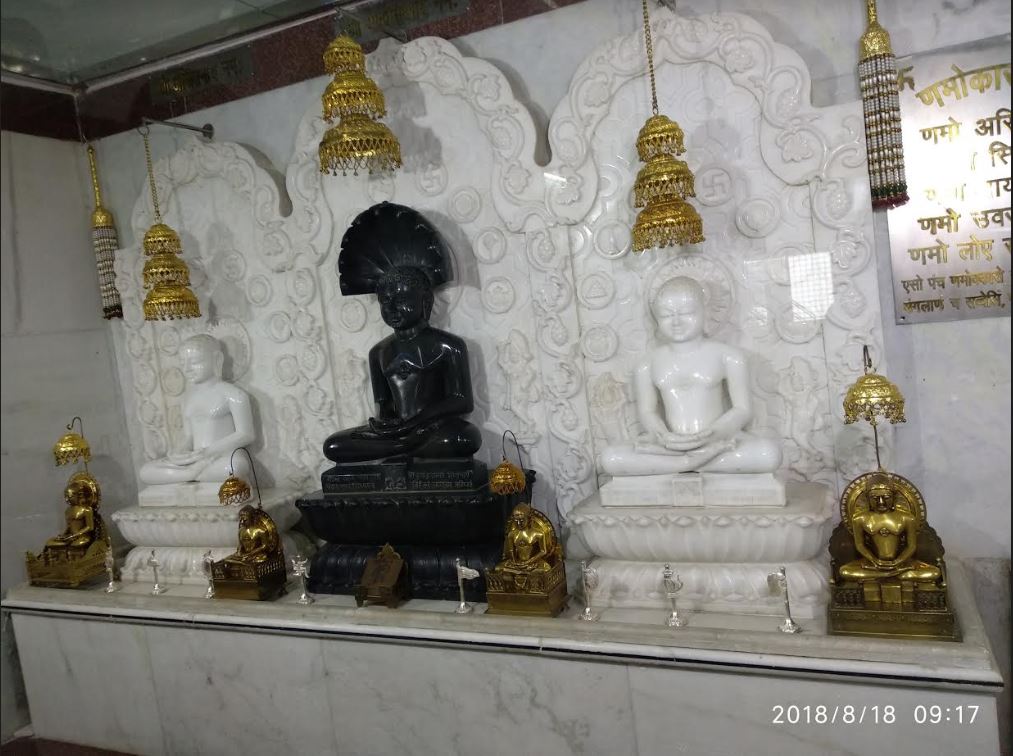 Shri 1008 Chintamani Parshvnath Jinalaya, New Minal Residency, J. K. Road, Bhopal (Madhya Pradesh) image 7