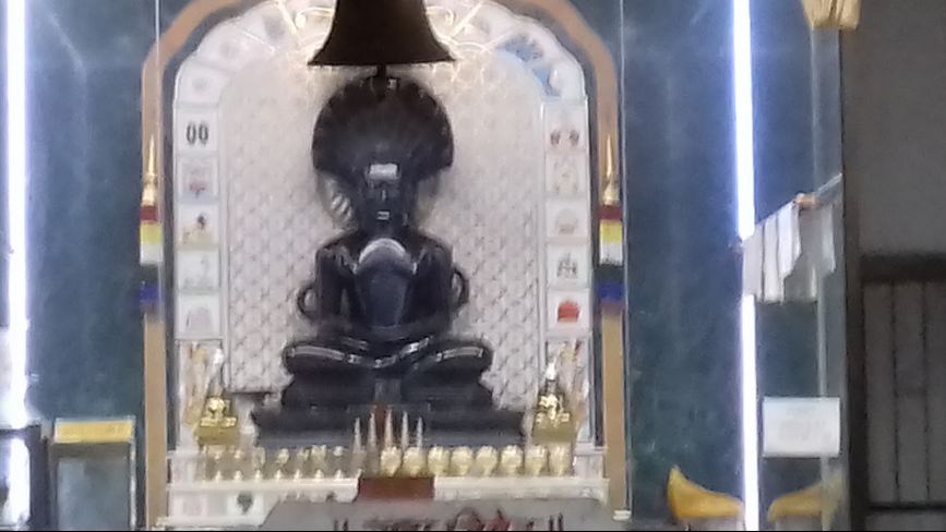 Shri 1008 Parshvnath Digamber Jain Mandir, Scheme No. 78, Aranya Nagar, Vijay Nagar, Indore (M.P.) image 5