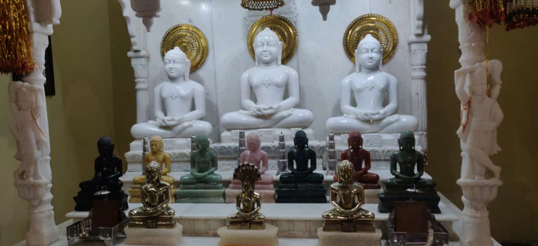 Shri Adinath Digamber Jain Mandir, Sadar Bazar, Bhatapara, District - Baloda Bazar (Chhattisgarh) main image