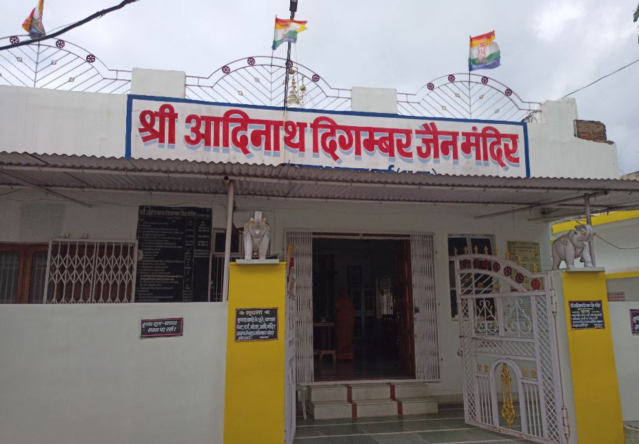 Shri Adinath Digamber Jain Mandir, Mahavir Colony, Rishabh Nagar, Durg (Chhattisgarh) image 1