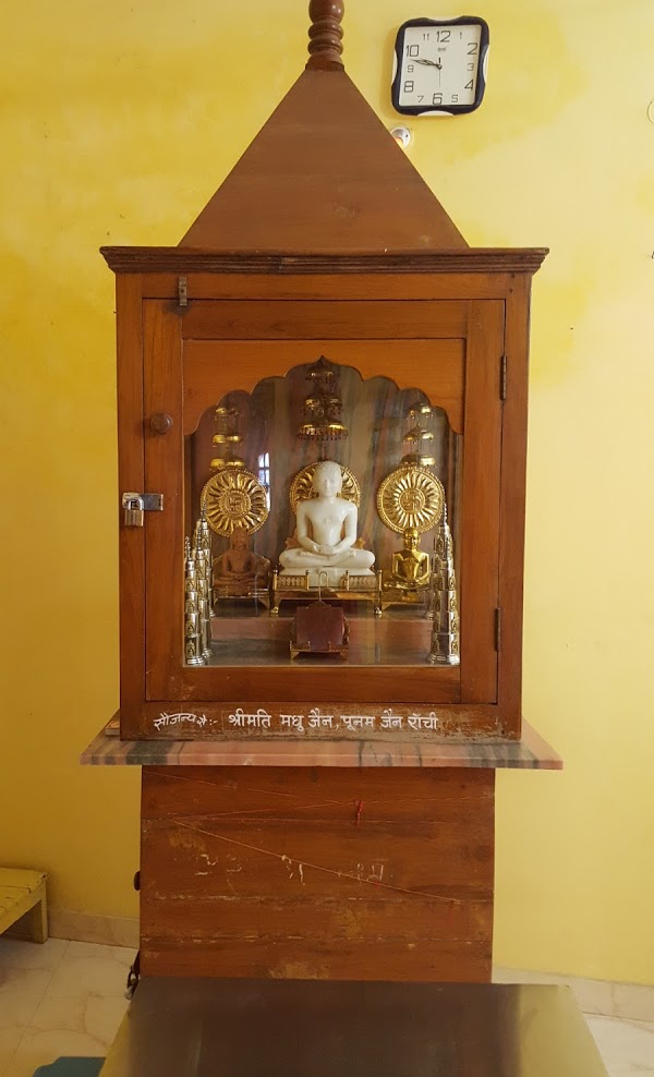 Shri Digamber Jain Mandir, Agrasen Colony, Raigarh (Chhattisgarh) image 1