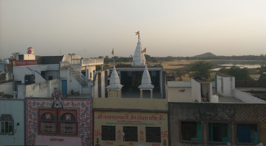 Shri 1008 Padamprabhu Digamber Jain Mandir, Ghuwara, District-Chhatarpur (Madhya Pradesh) image 3