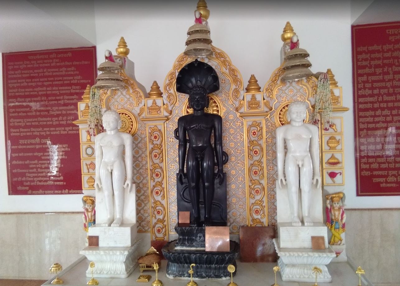 Shri Mahaveer Digamber Jain Mandir, Jashpur Nagar, District-Jashpur (Chhattisgarh) image 5