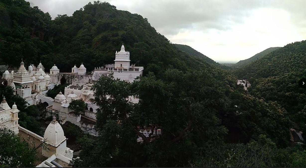Shri Digambar Jain Siddha Kshetra Muktagiri (Mendhagiri), District-Betul (Madhya Pradesh) image 7