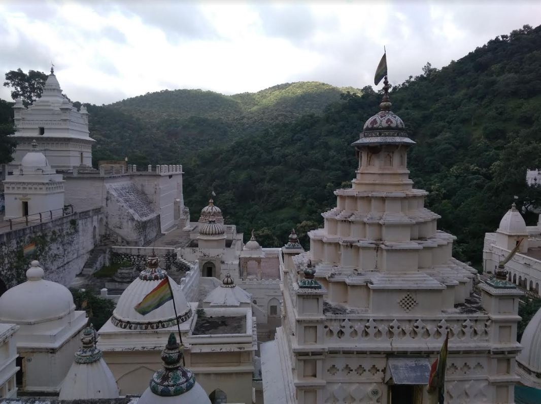 Shri Digambar Jain Siddha Kshetra Muktagiri (Mendhagiri), District-Betul (Madhya Pradesh) image 8