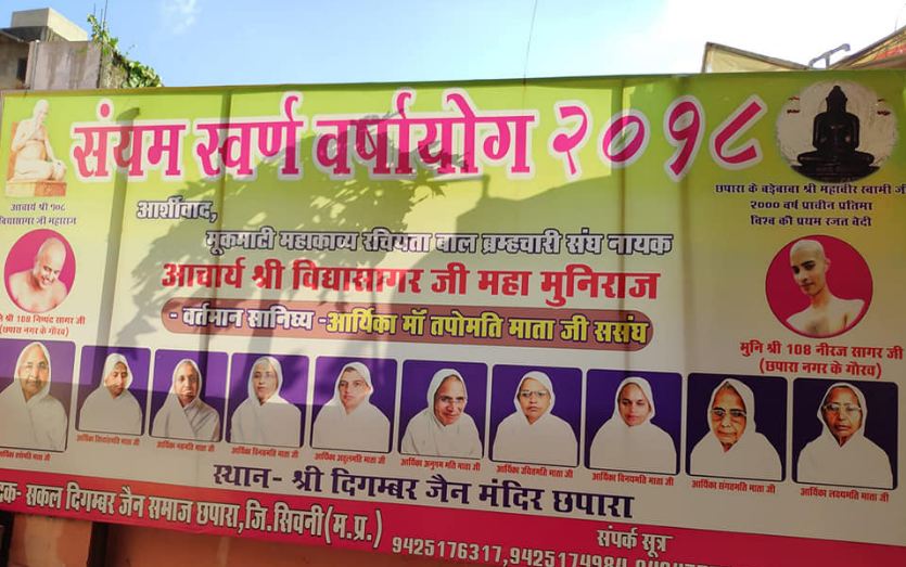 Shri Digamber Jain Mandir, Chhapara, District-Seoni (Madhya Pradesh) image 1