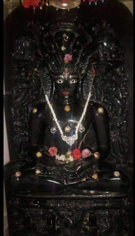 Shri Bakela Chintamani Parshvnath Jain Shwetamber Tirth, Bakela, District-Kabeerdham (Chhattisgarh) image 6