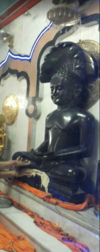 Shri Parshvnath Digamber Jain Mandir, Burhar, District-Shahdol (Madhya Pradesh) image 2