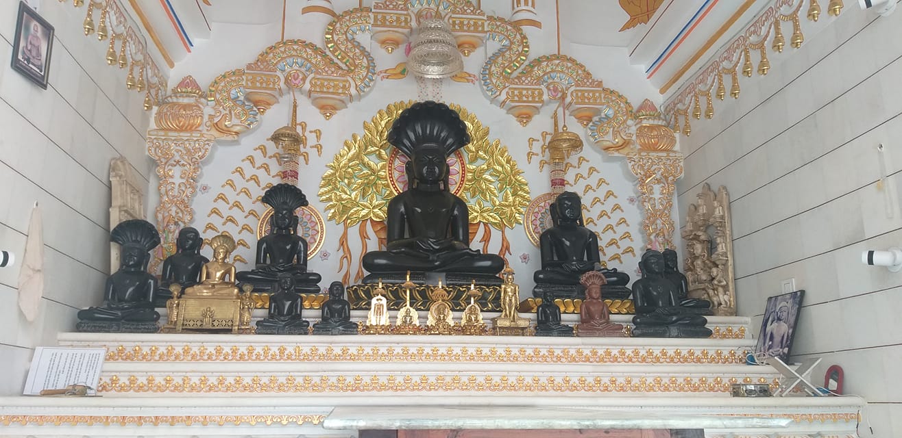 Shri Dev Parshvnath Digamber Jain Singhai Mandir, City Nal, Damoh (M.P.) image 3