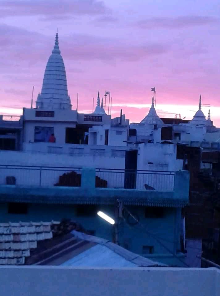 Shri Dev Parshvnath Digamber Jain Singhai Mandir, City Nal, Damoh (M.P.) image 4