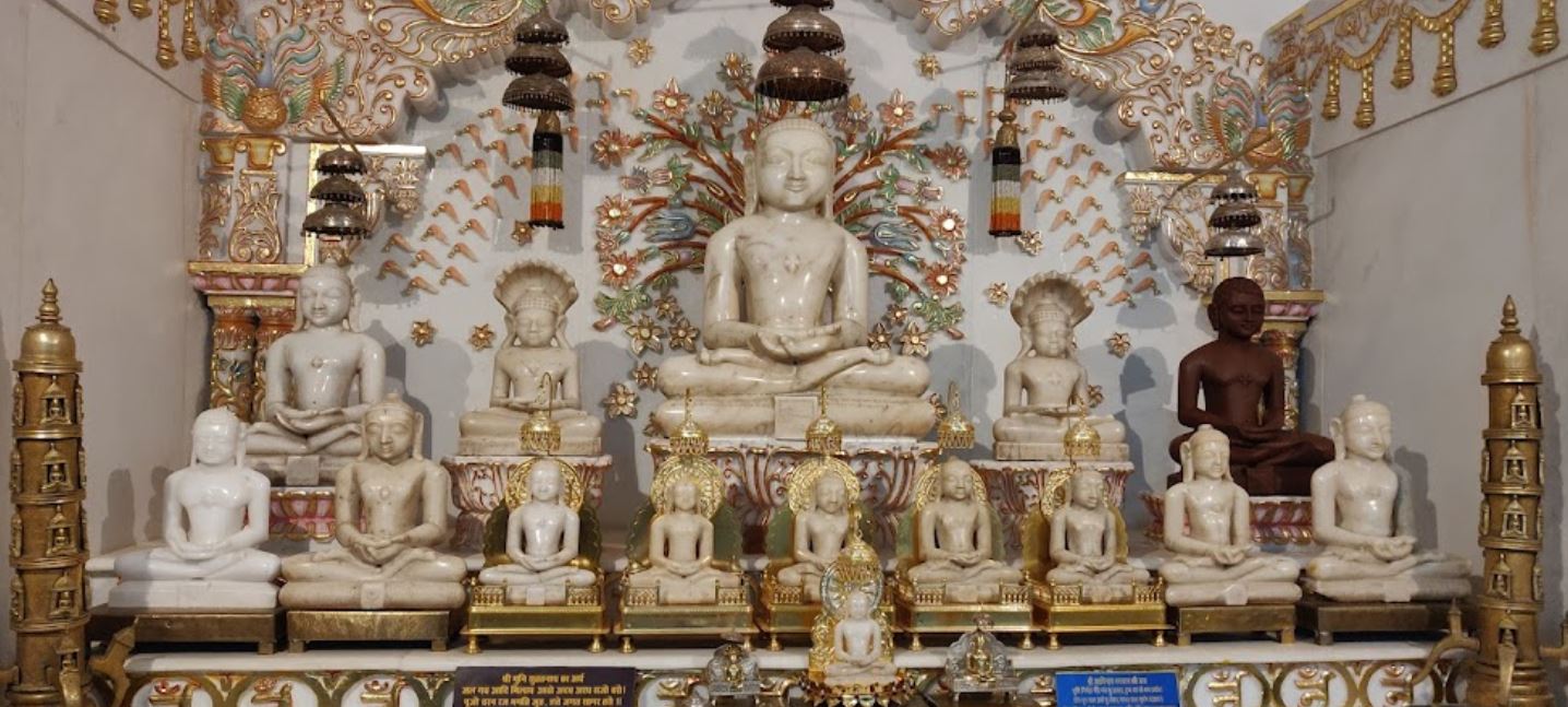 Shri Dev Parshvnath Digamber Jain Singhai Mandir, City Nal, Damoh (M.P.) image 7