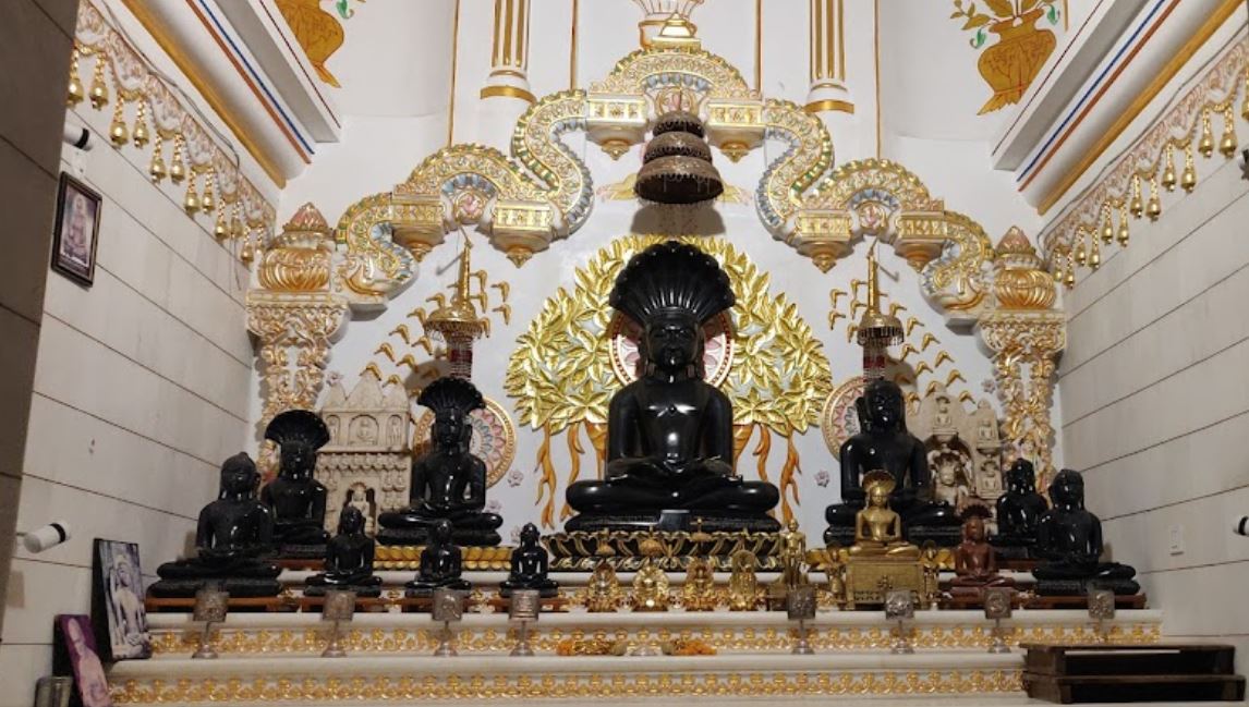 Shri Dev Parshvnath Digamber Jain Singhai Mandir, City Nal, Damoh (M.P.) image 8