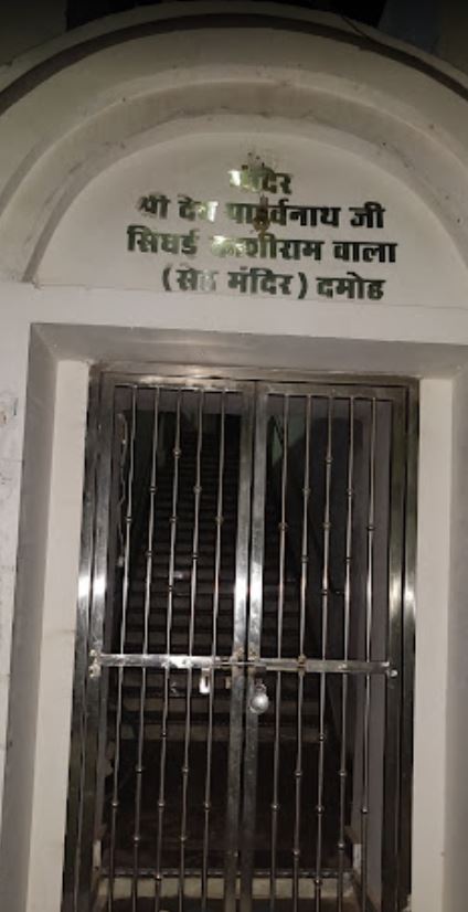 Shri Dev Parshvnath Digamber Jain Singhai Mandir, City Nal, Damoh (M.P.) image 12