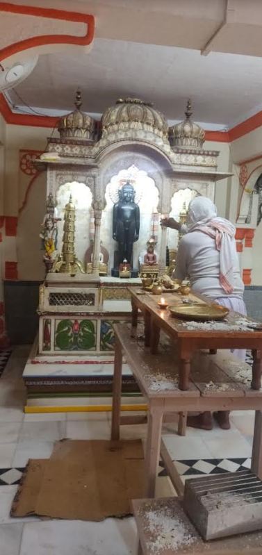 Shri Parshvnath Digamber Jain Mandir, Khurai, District-Sagar (Madhya Pradesh) image 8