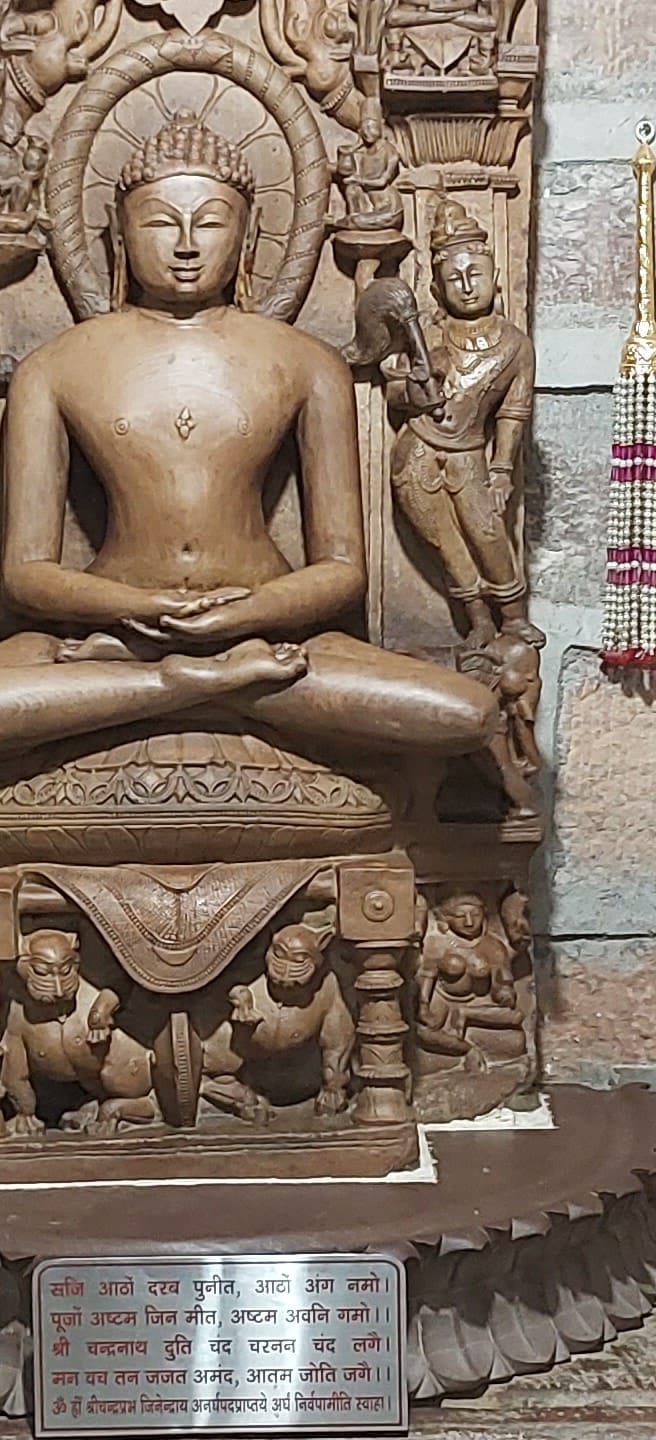 Shri Digamber Jain Atishaya Kshetra, Golakot, District-Shivpuri (M.P.) image 20