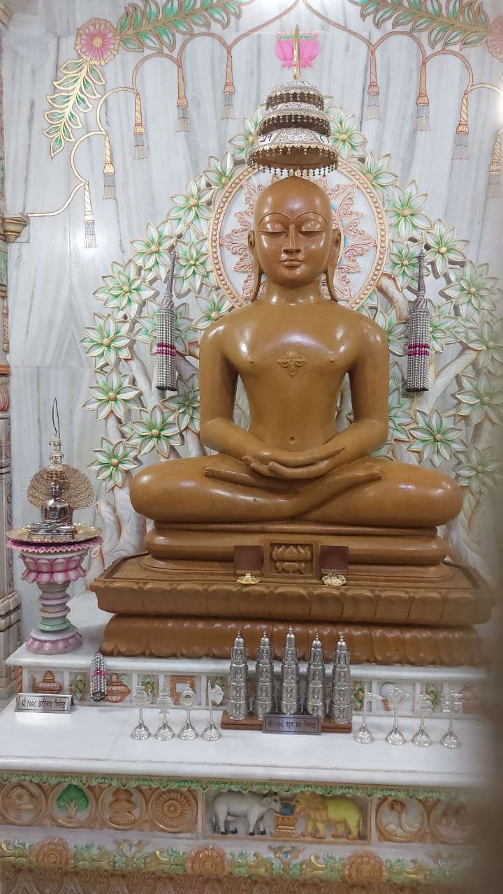 Shri 1008 Padamprabh Digamber Jain Mandir, Shanti Nagar, Labhandi, Raipur (Chhattisgarh) image 12