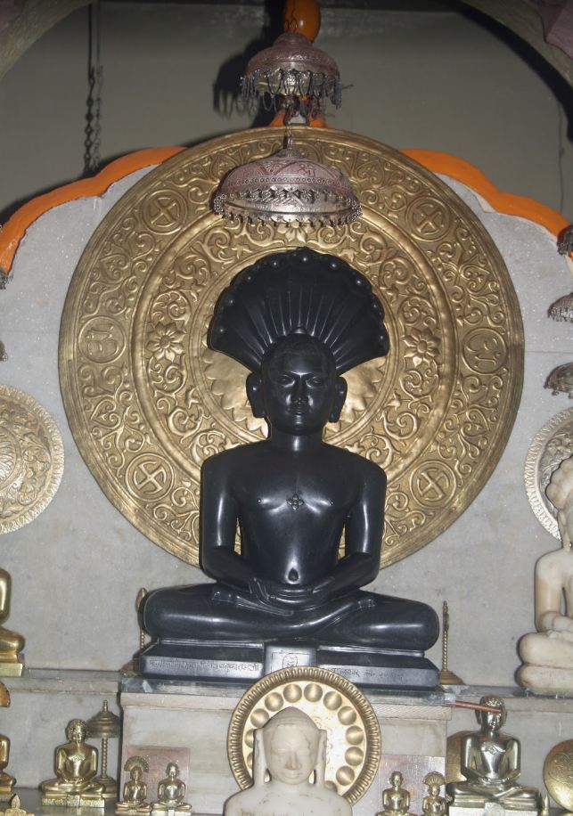 Shri Parshvnath Digamber Jain Mandir, Multai, District-Betul (M.P.) image 1