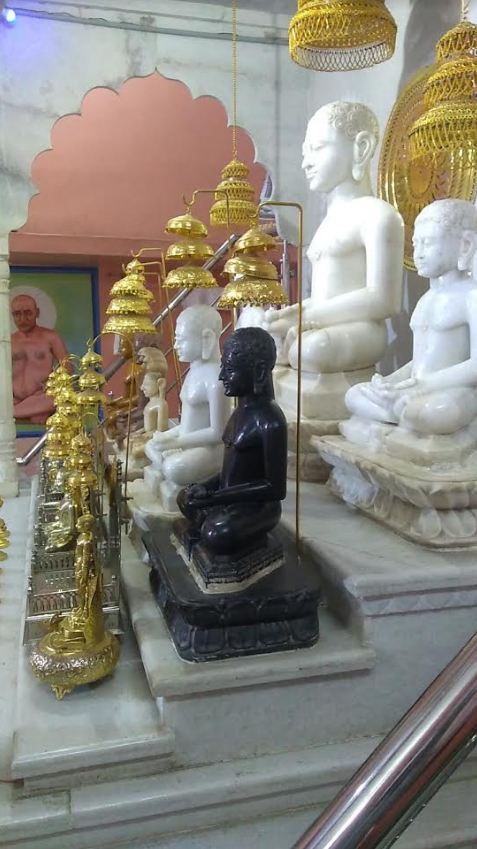 Shri Mahaveer Digamber Jain Mandir, Bairagarh, Bhopal (Madhya Pradesh) image 16