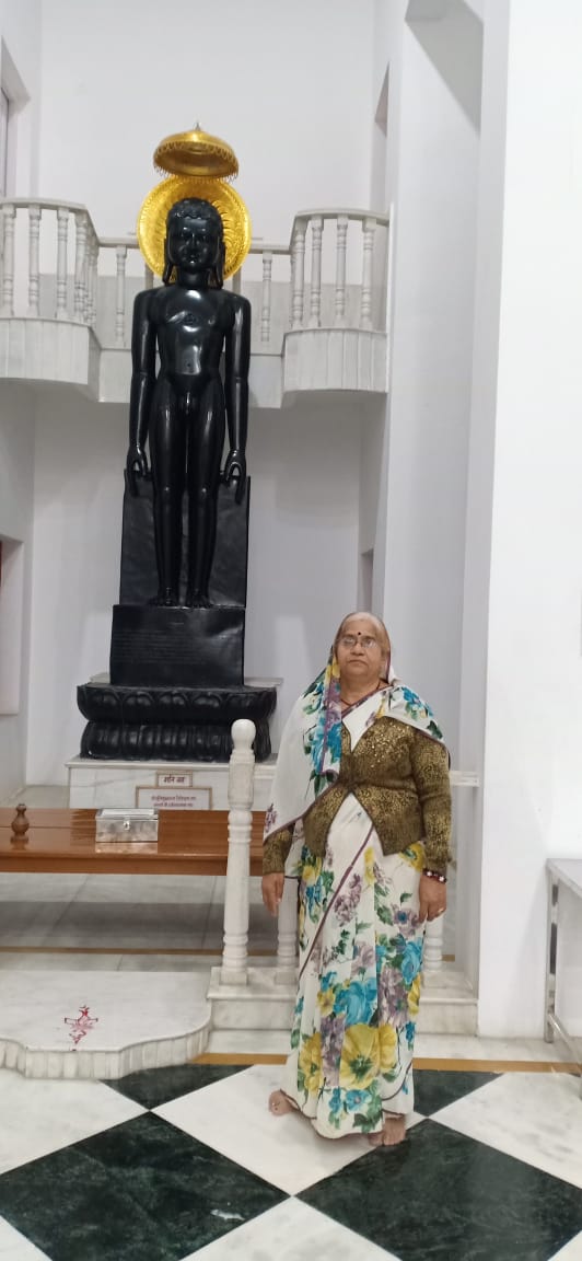 Shri Digamber Jain Navgrah Jinalaya Atishaya Kshetra, Greater Baba Parisar, Airport Road, Indore (Madhya Pradesh) image 12