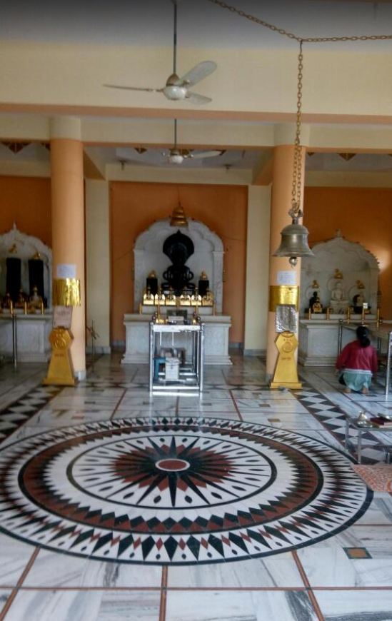 Shri Digamber Jain Mandir, Pendra Road (Gaurella), District - Gaurela-Pendra-Marwahi (Chhattisgarh) image 3