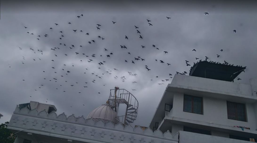 Shri Jain Shwetamber Mandir, Surya Rao Peta, Kakinada, District - East Godavari (Andhra Pradesh) image 1