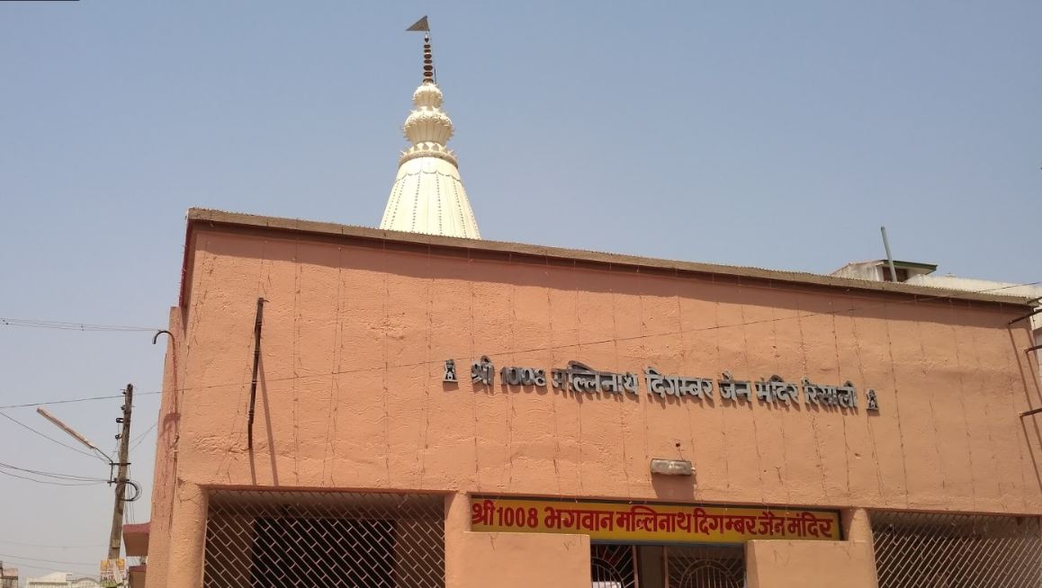 Shri 1008 Mallinath Digamber Jain Mandir, Risali, Bhilai, District-Durg (Chhattisgarh) image 1