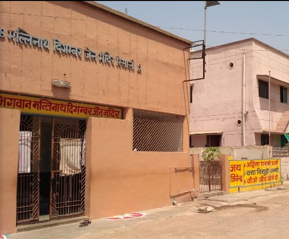 Shri 1008 Mallinath Digamber Jain Mandir, Risali, Bhilai, District-Durg (Chhattisgarh) image 2