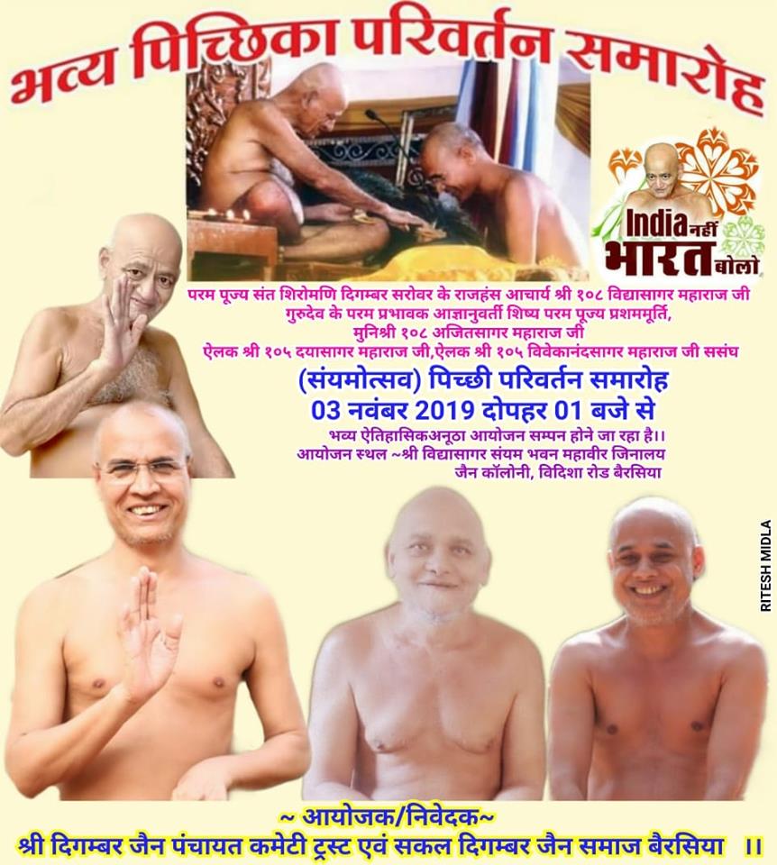 Shri Digamber Jain Mahaveer Jinalaya, Jain Colony, Berasia, District-Bhopal (Madhya Pradesh) main image