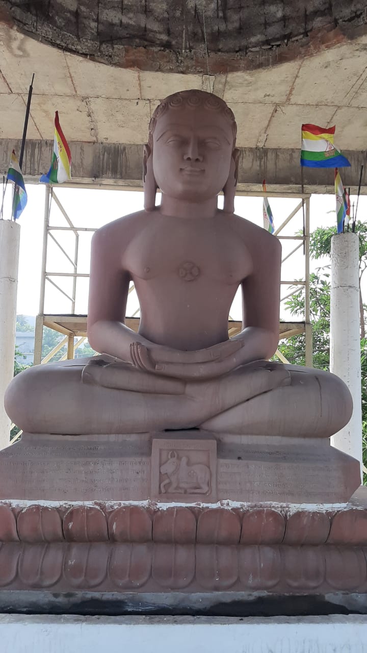 Shri Digamber Jain Tirth Namokar Dham, Khandwa Indore Road, Sanawad, District-Khargone (Madhya Pradesh) image 11