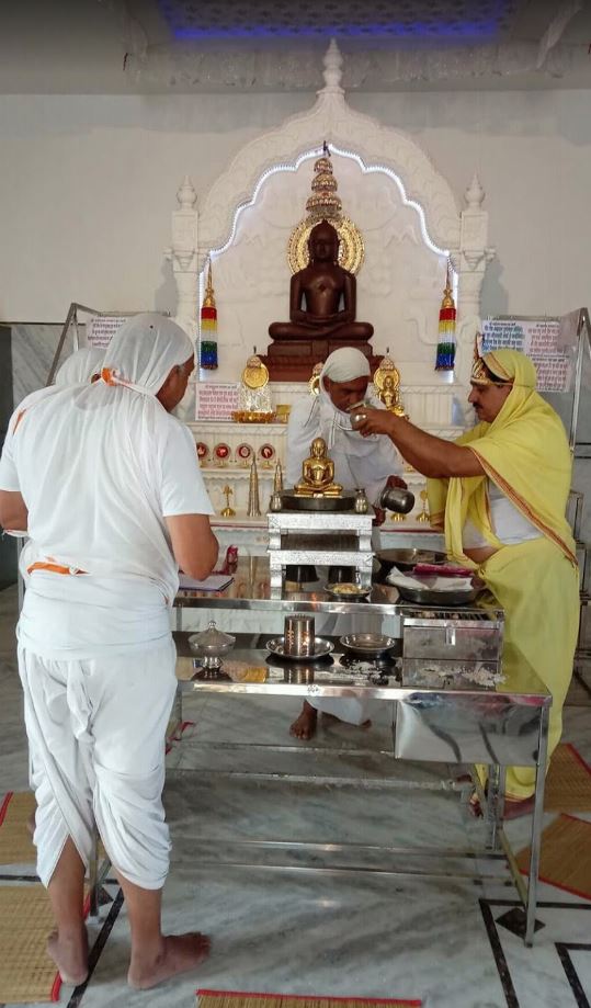 Shri 1008 Vasupujya Digamber Jain Mandir, Shrinagar Colony, Mandleshwar, District-Khargone (Madhya Pradesh) image 5