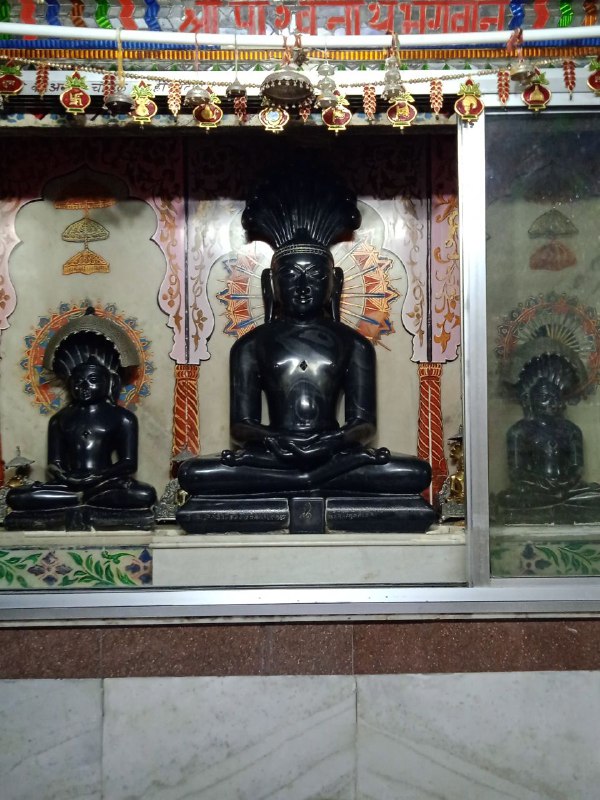 Shri Digamber Jain Bada Mandir, Susner, District-Agar Malwa (Madhya Pradesh) image 7