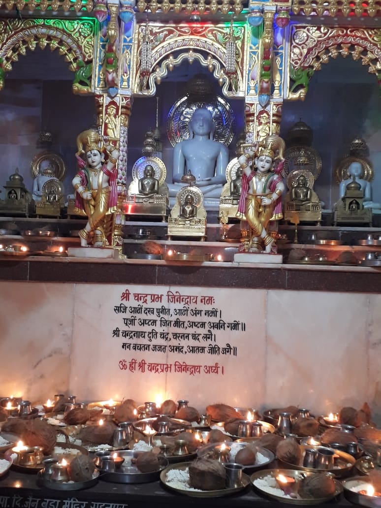 Shri Chandraprabhu Naveen Digamber Jain Mandir, Tendukheda, District-Narsimhapur (Madhya Pradesh) image 2