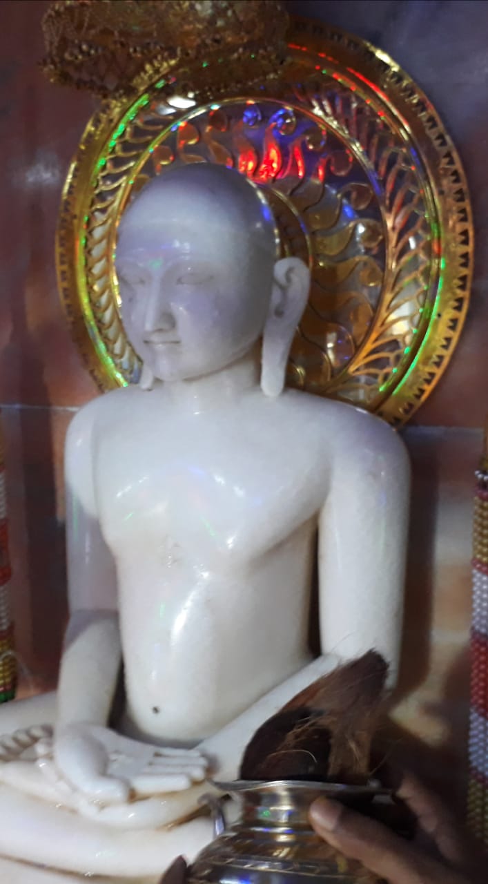Shri Chandraprabhu Naveen Digamber Jain Mandir, Tendukheda, District-Narsimhapur (Madhya Pradesh) image 3