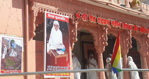 Shri Chandraprabhu Naveen Digamber Jain Mandir, Tendukheda, District-Narsimhapur (Madhya Pradesh) image 4