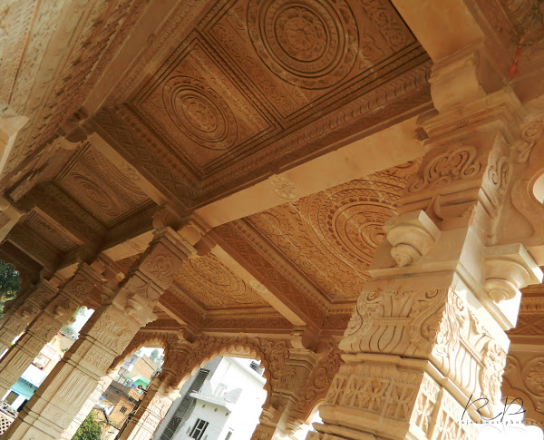 Shri 1008 Shri Adinath Kund Kund Kahan Digamber Jain Mandir, Raghogarh, District-Guna (Madhya Pradesh) image 6