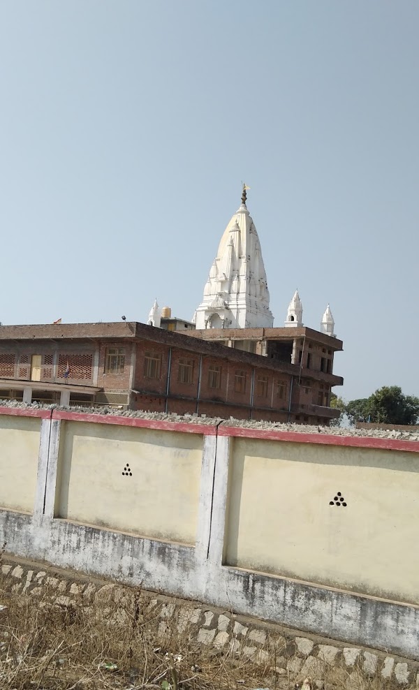 Shri 1008 Bhagwan Mahaveer Digamber Jain Mandir, Mahavir Vihar, Tikamgarh (M.P.) thumbnail 2