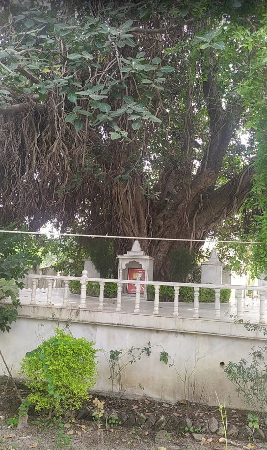 Shri Raj Rajendra Vatika Tirth, Jaora, District-Ratlam (Madhya Pradesh) image 8