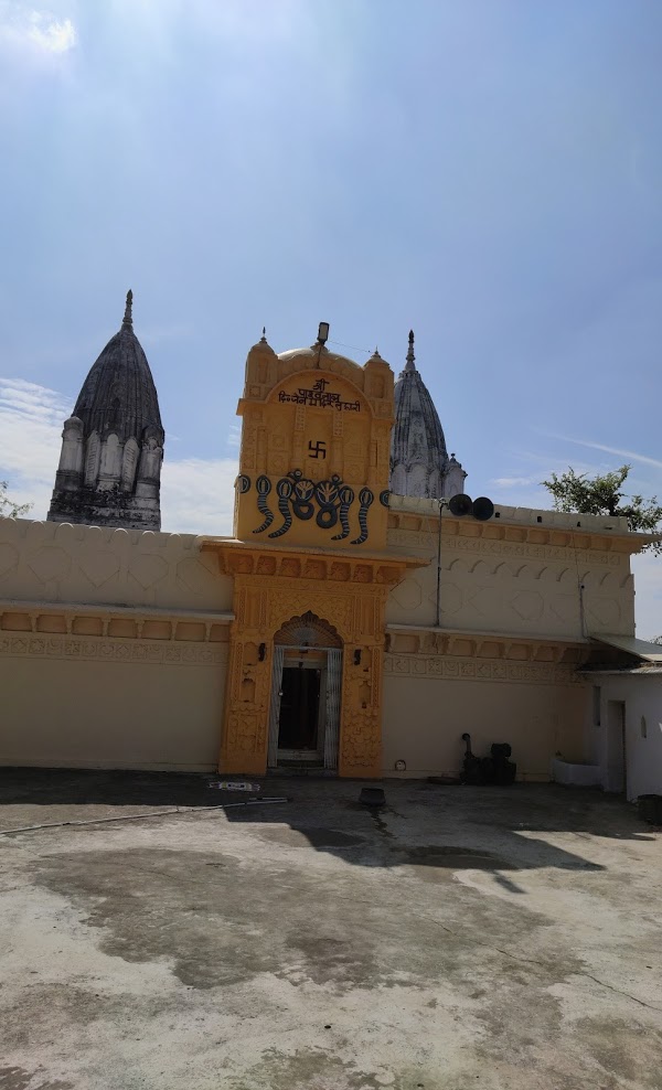 Shri Parshvnath Digamber Jain Mandir, Luhari, District-Sagar (Madhya Pradesh) image 3