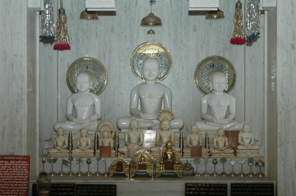 Atishaya Kshetra Shri Digamber Jain Mandir, Jamner, District-Shajapur (Madhya Pradesh) image 7
