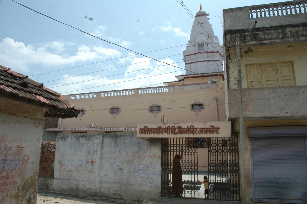 Atishaya Kshetra Shri Digamber Jain Mandir, Jamner, District-Shajapur (Madhya Pradesh) image 12