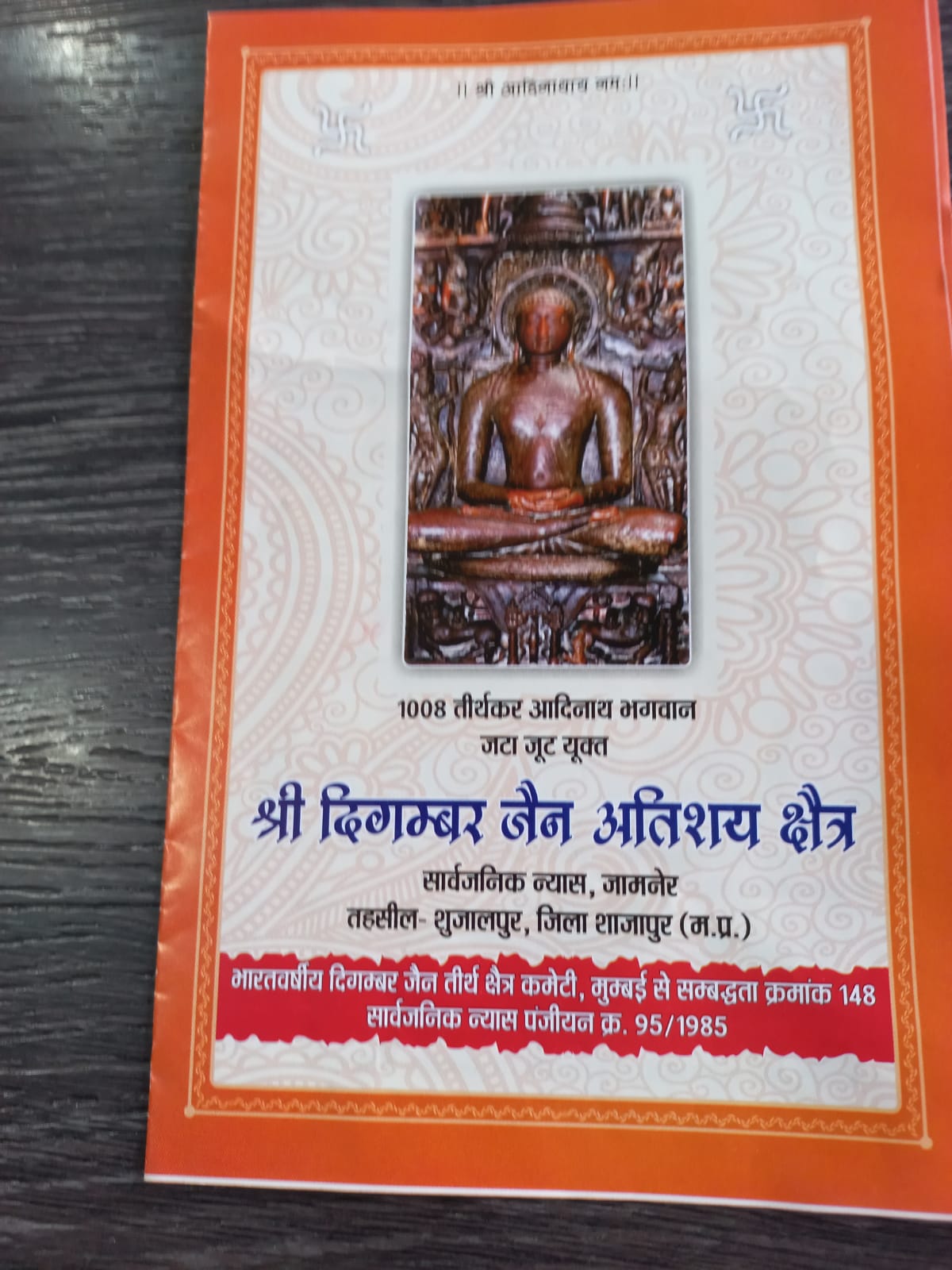 Atishaya Kshetra Shri Digamber Jain Mandir, Jamner, District-Shajapur (Madhya Pradesh) image 13